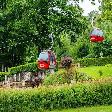 Schmaelzle Lejlighed